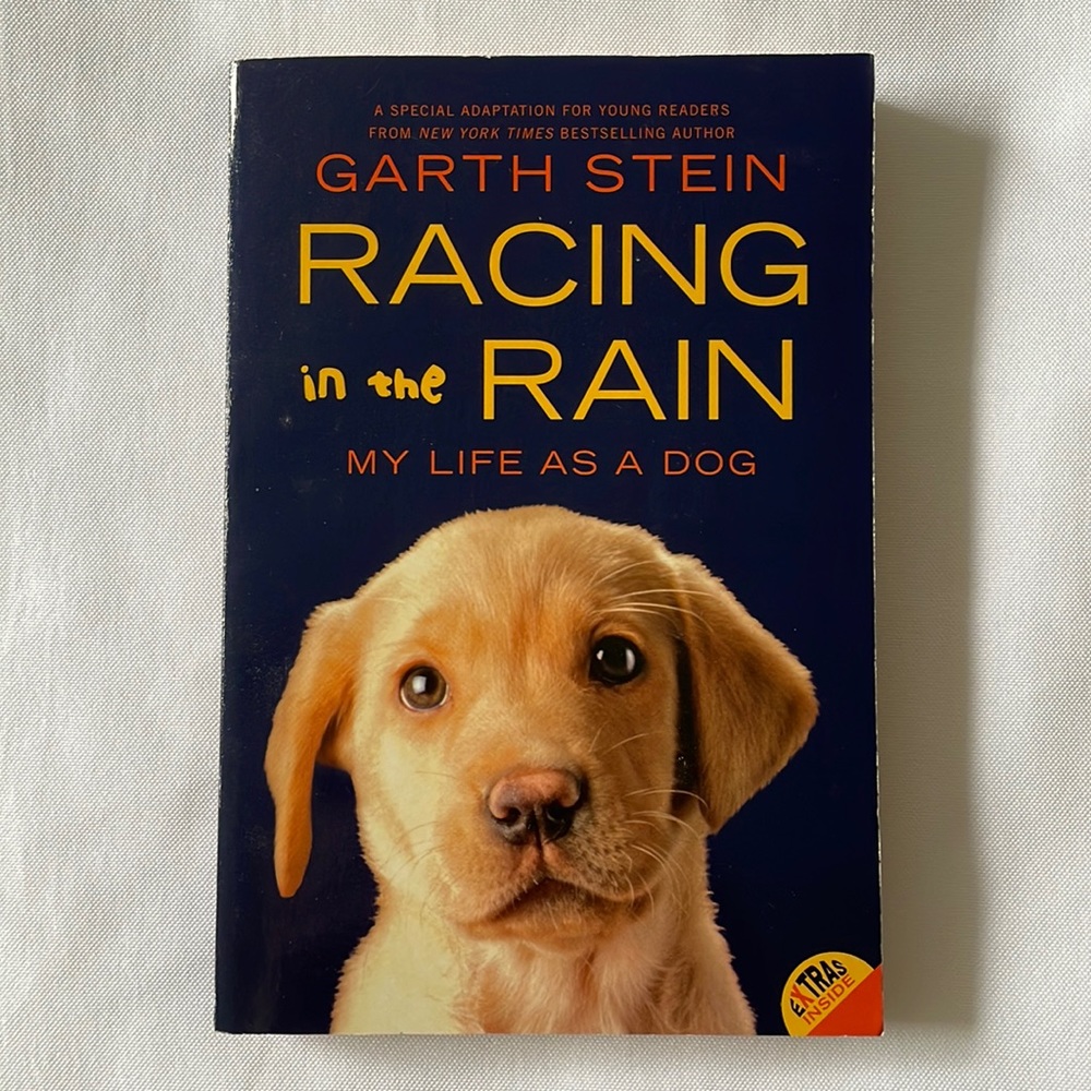 “Racing in the Rain” by Garth Stein